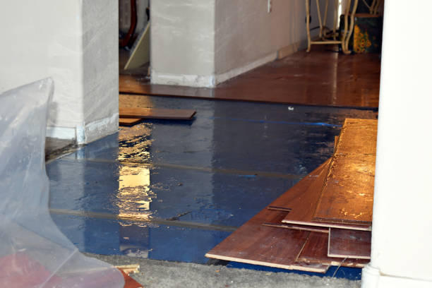 Professional Water Damage Restoration technician working in Applegate, MI